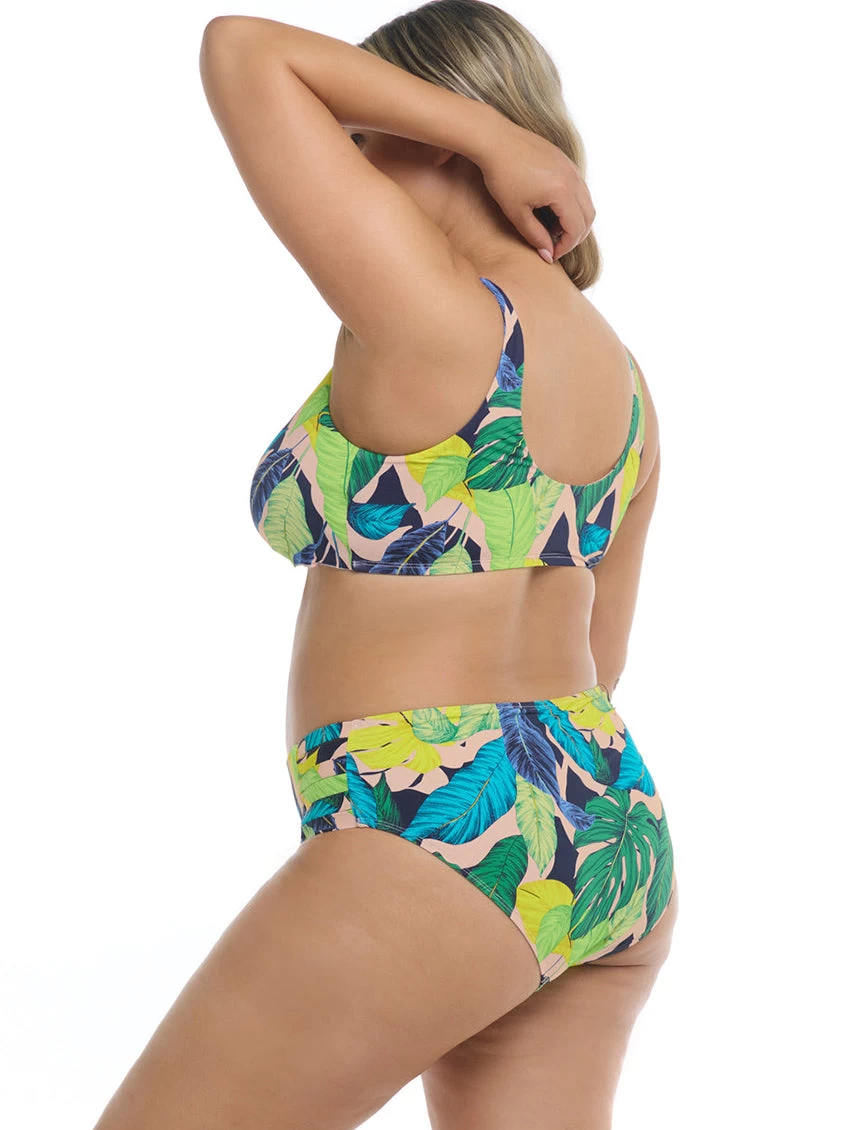Body Glove Manoa Falls Plus Size Retro Bikini Brief 3 Body Glove Manoa Falls Plus Size Retro Bikini Brief - Image 3